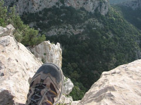 vue-montagne-zaghouan