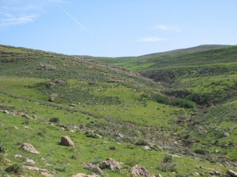 Djebba