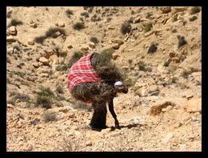 femme sud Tunisie