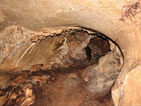 Grotte-Canine-01