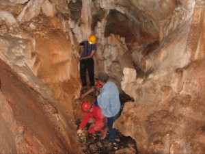 Grotte Canine