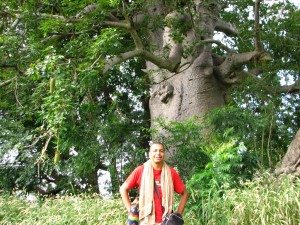 Baobab voyage sénégal