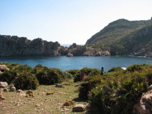 Haouaria Cap Bon Tunisie