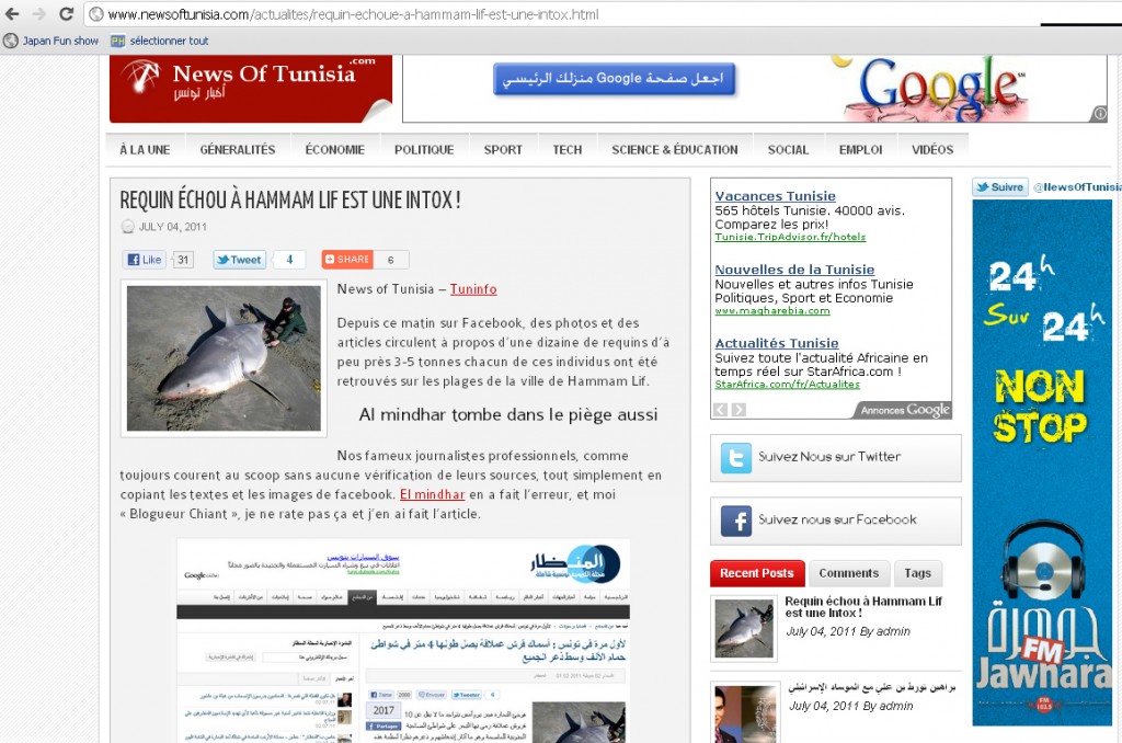 News of Tunisia requin tunisie News of Tunisia requin tunisie