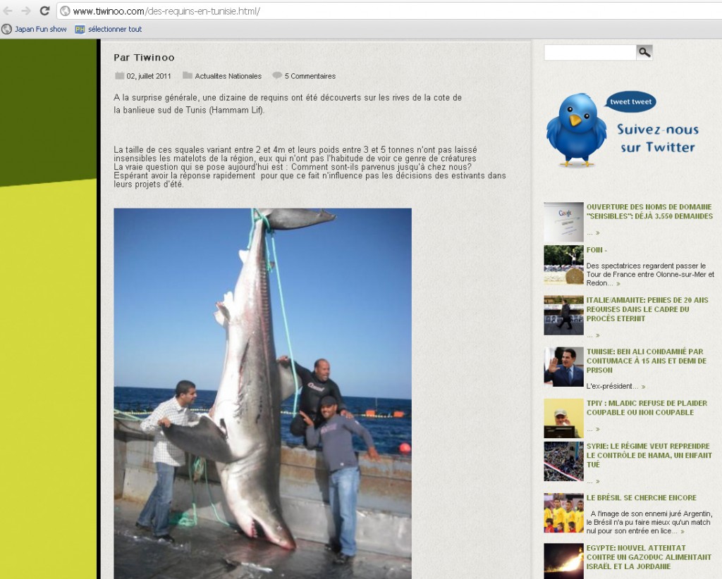tiwinoo requin hammam lif tiwinoo requin hammam lif