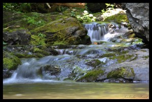 chute d'eau shenandoah parc