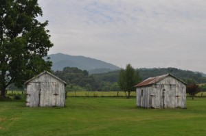 fermes virginia