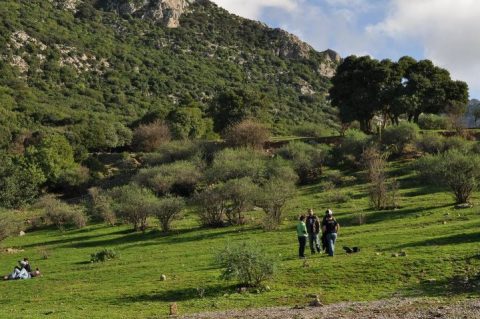 pause-sidi-bou-gabrine