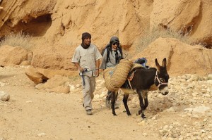 randonnée désert tunisie