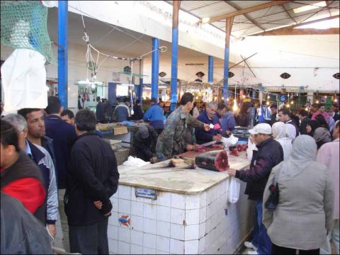 sousse thon