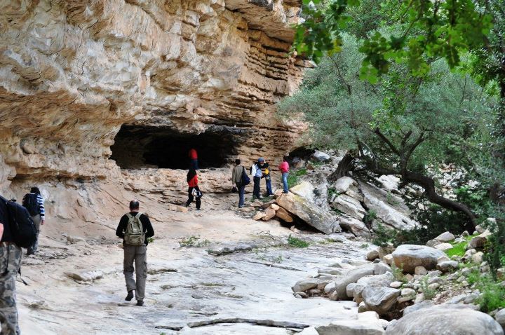 Canyon Djebel Oueslat