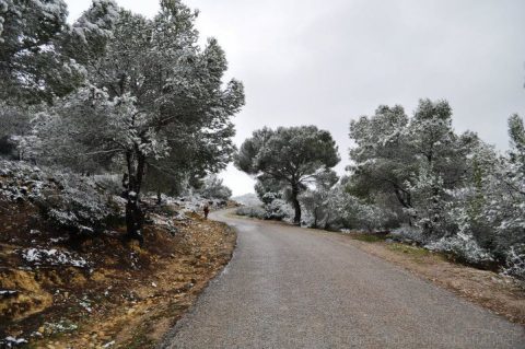 neige-route-de-bargou