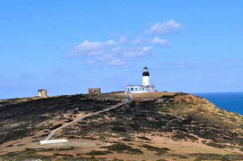 phare-ras-taieb
