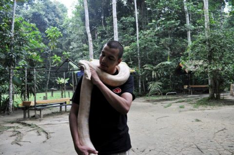 Voyage-Malaisie-Taman-Negara