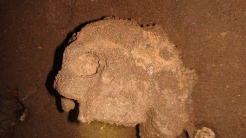 squelette-tunisie-grotte-eglantine