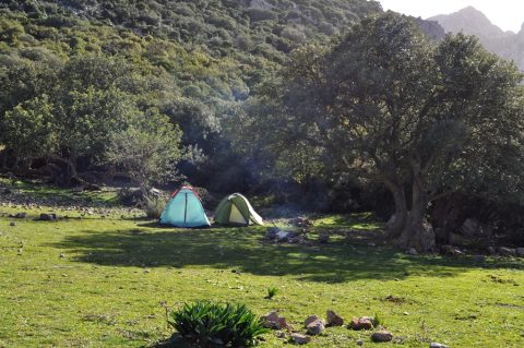 Camping-Zaghouan-Tunisie