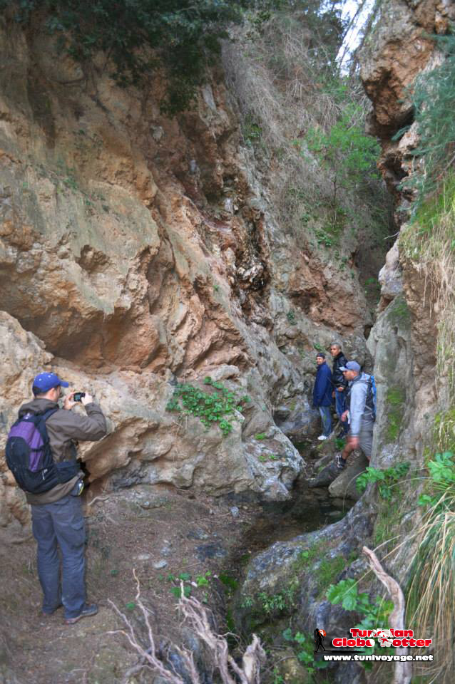 Canyon tebourba