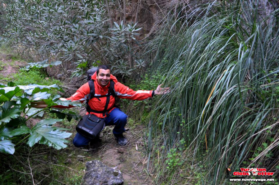 Randonnee-tebourba-900×598