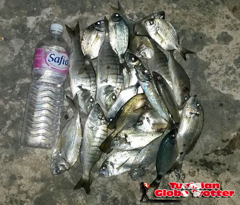 Peche 3 kg poisson Tunisie
