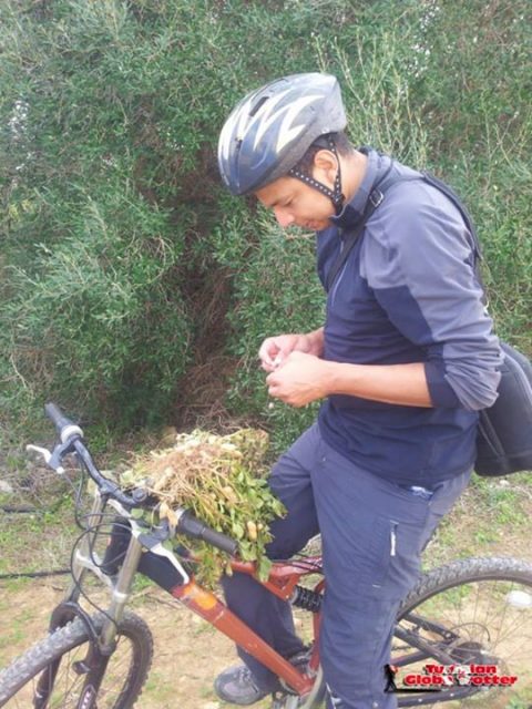 cacahuete-VTT
